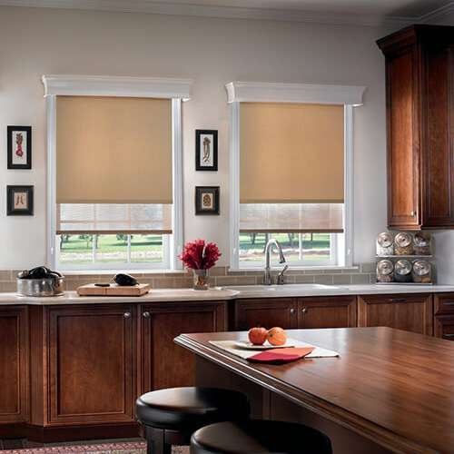 Dual Roller Shades
