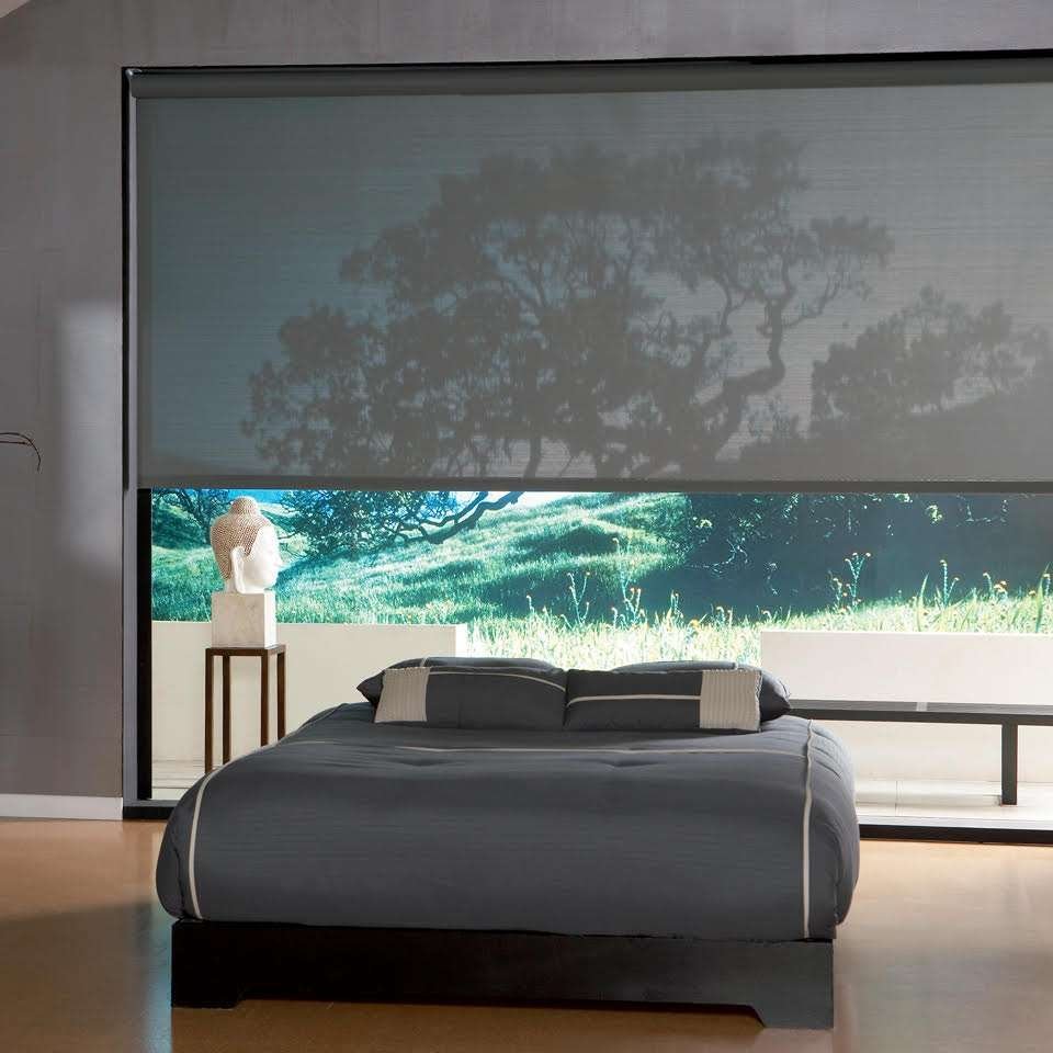 Sunscreen Roller Blinds