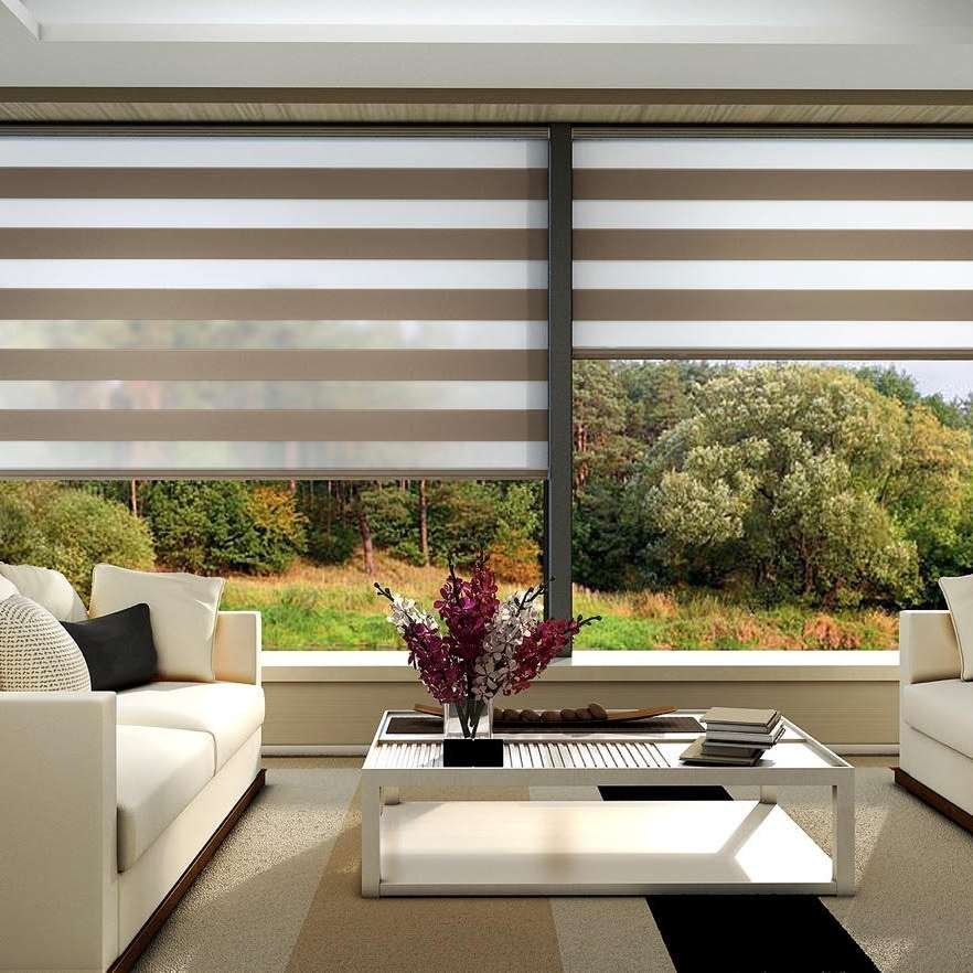 Vision Roller Blinds